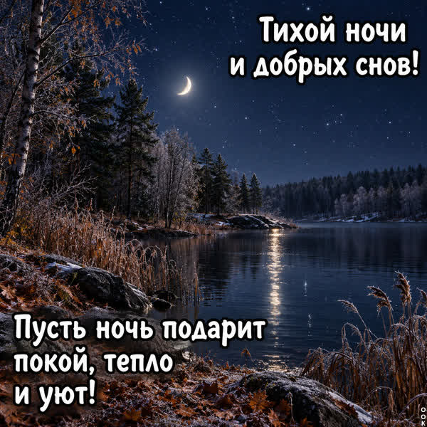 Picture картинка тихой ночи