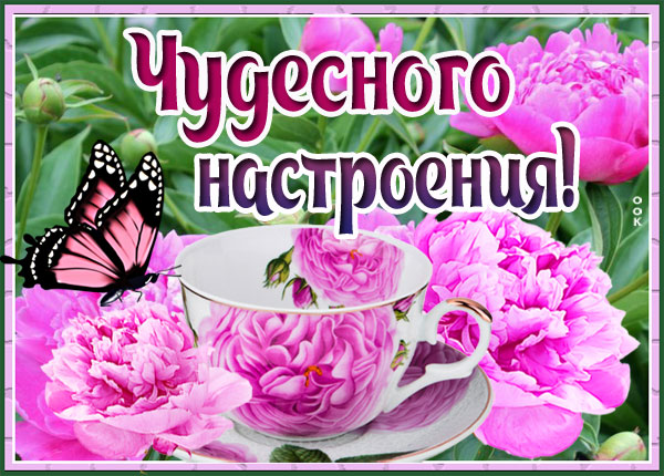 Картинка картинка цветочного настроения