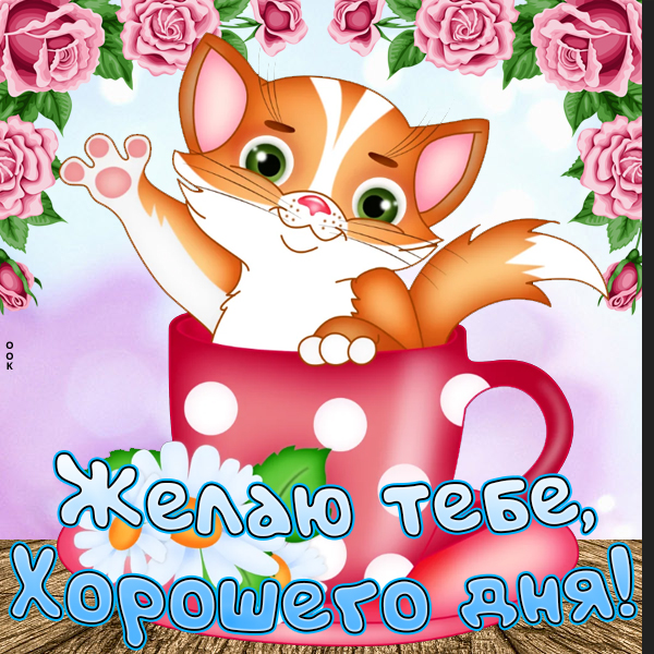 Картинка картинка удачного дня