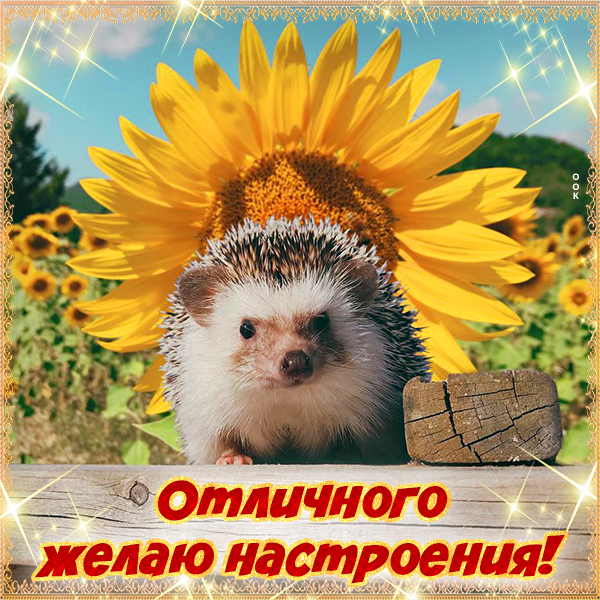 Картинка картинка улыбнись для настроения