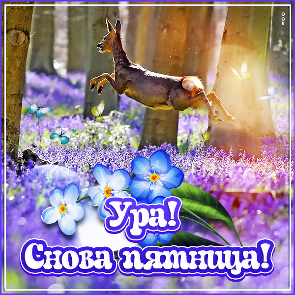 Картинка картинка ура снова пятница