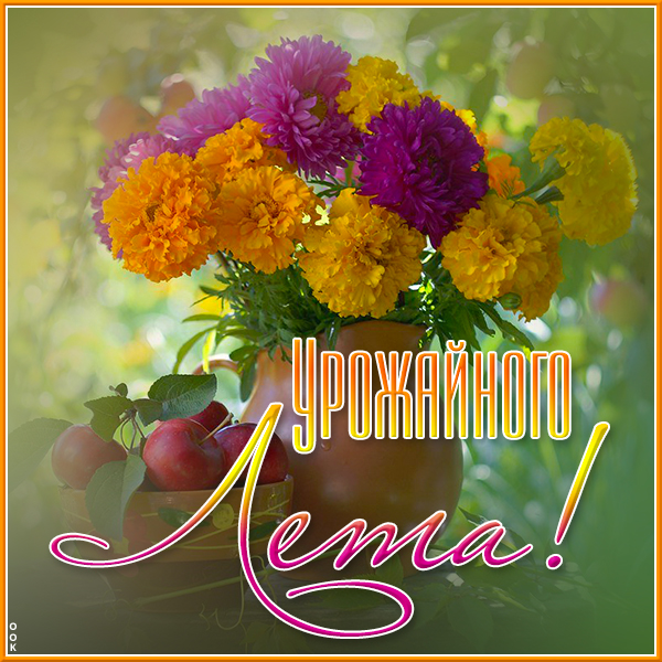 Открытка картинка урожайного лета