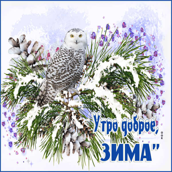 Открытка картинка утро доброе,  зима