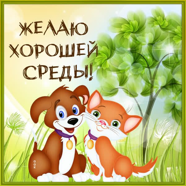 Picture картинка уже среда