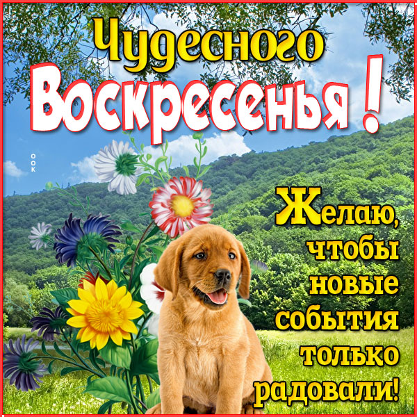 Картинка картинка веселого воскресенья