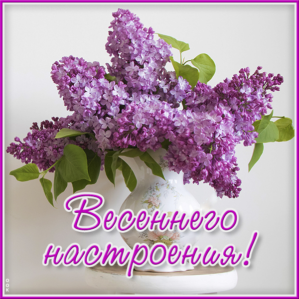 Картинка картинка весеннего настроения