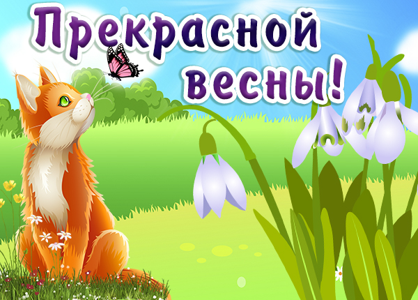 Открытка картинка весна с подснежниками