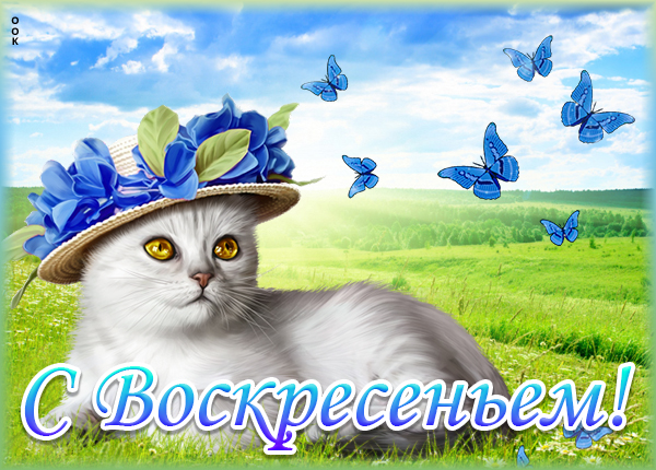 Картинка картинка воскресенье - день прекрасный