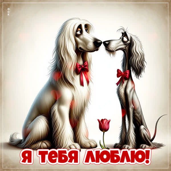 Picture картинка хочу сказать, что люблю тебя
