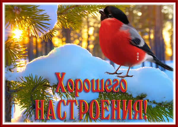 Picture картинка хорошего настроения с птицой