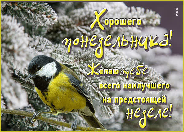 Postcard картинка хорошего понедельника
