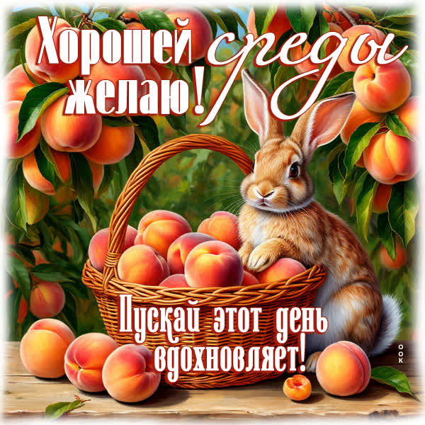 Postcard картинка хорошей среды желает