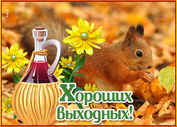 Picture картинка хороших осенних выходных