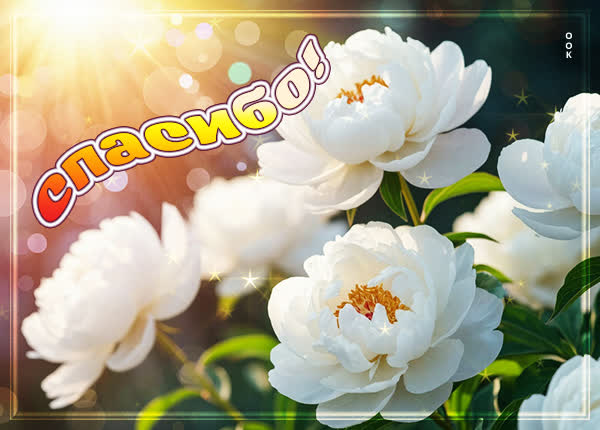 Postcard картинка за все тебя благодарю