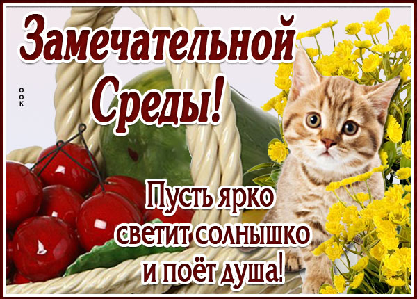 Открытка картинка замечательной среды