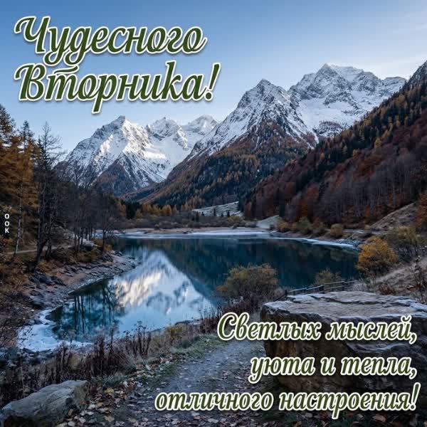 Postcard картинка желаю прекрасного вторника