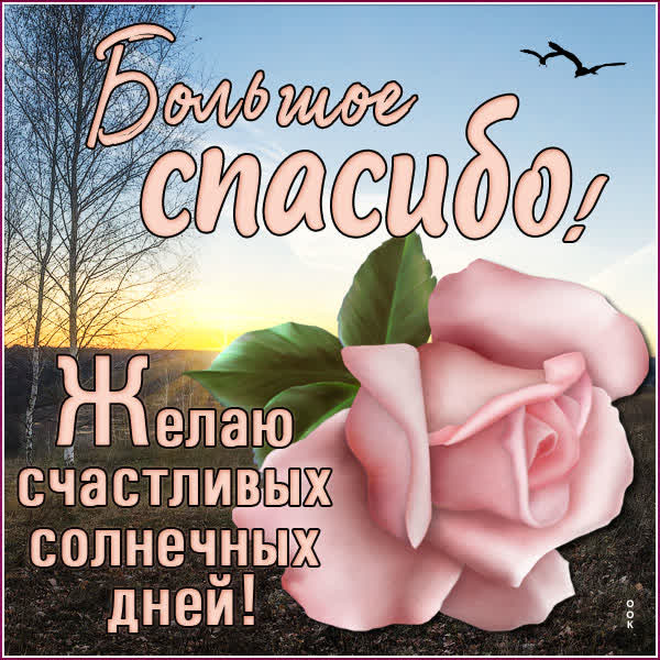 Postcard картинка желаю счастливых солнечных дней