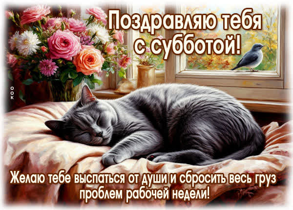 Postcard картинка желаю выспаться от души в эту субботу