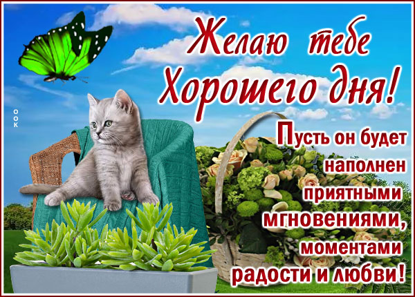 Картинка картинка желаю тебе хорошего дня