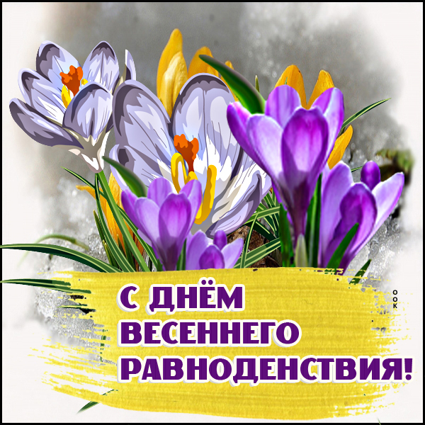 Открытка картинка желаю тебе солнечного настроения