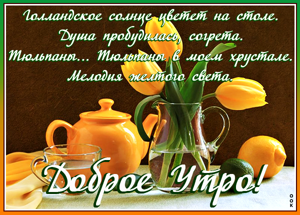 Картинка картинка желтые тюльпаны