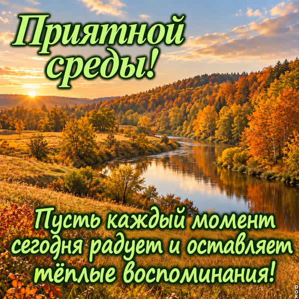 Postcard картинки приятной среды
