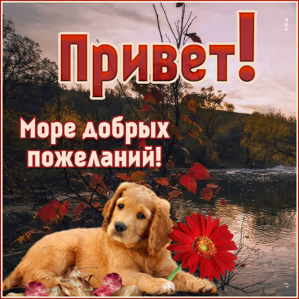 Postcard картинска привет море добрых пожеланий