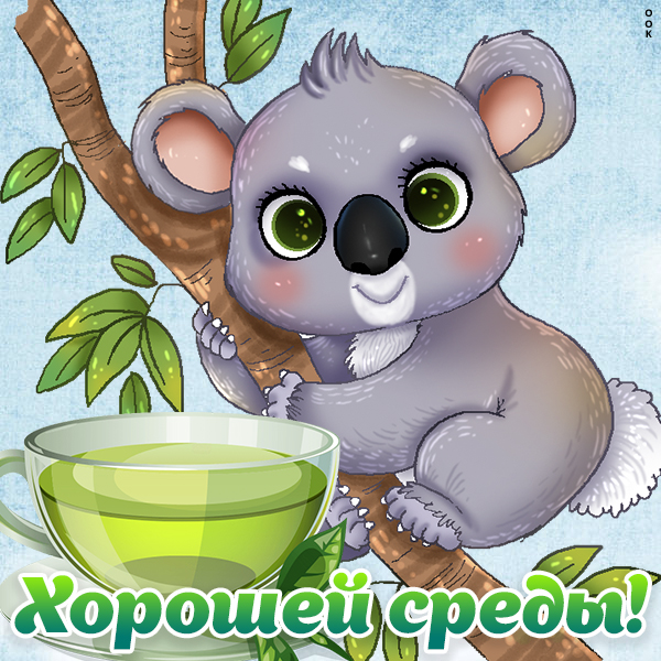 Картинка хорошая картинка со средой