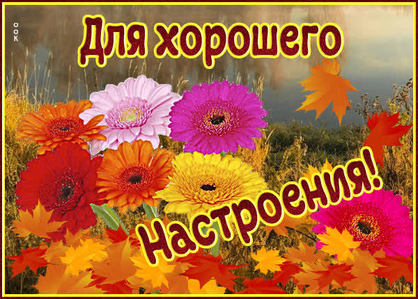 Postcard классная картинка для настроения с осенними цветами