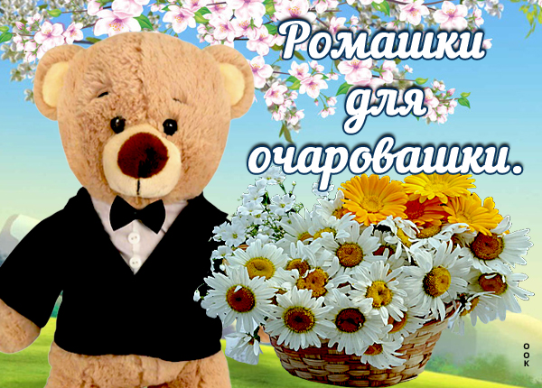 Картинка классная картинка с ромашками