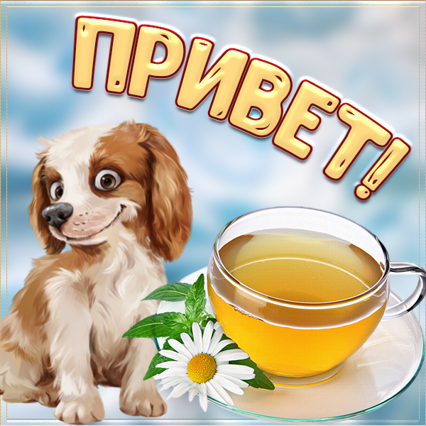 Картинка классная картинка с собачкой