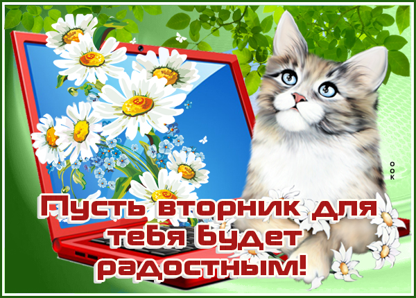 Картинка классная картинка с вторником