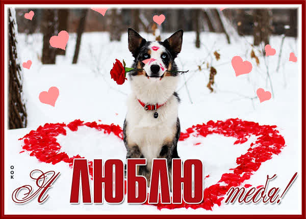 Postcard классная картинка я люблю тебя