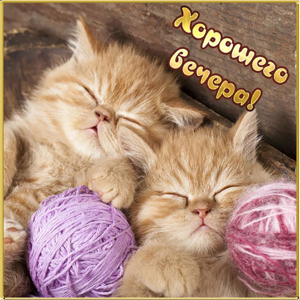 Открытка красивая картинка хорошего вечера