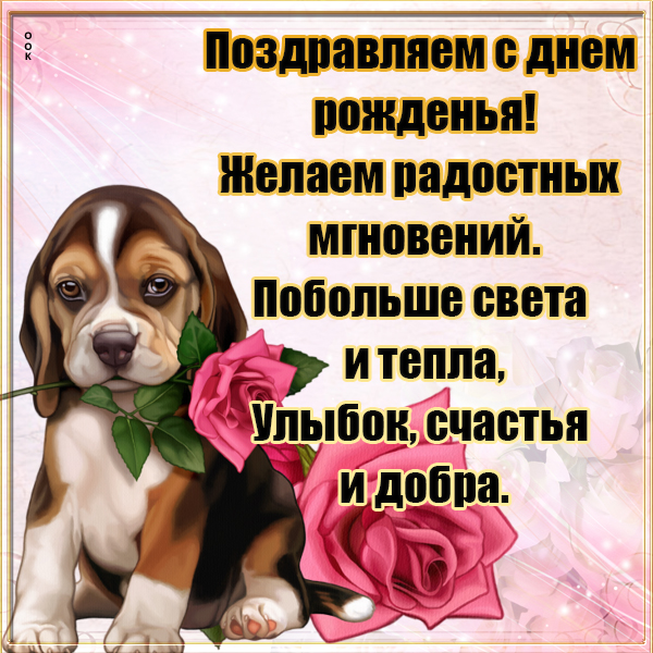 Открытка красивая картинка с днем рождения с пожеланиями