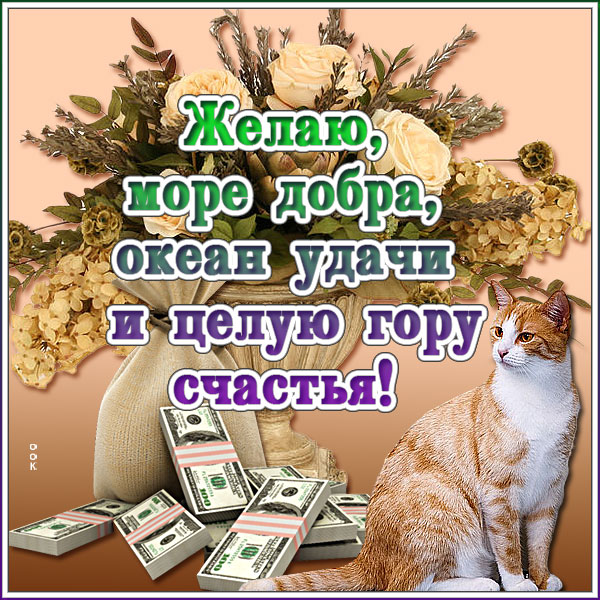 Картинка красивая картинка с котом