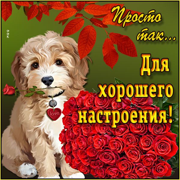 Картинка красивая картинка с собачкой