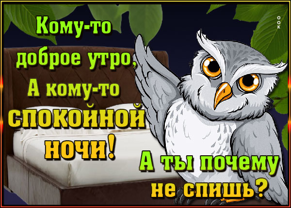 Открытка красивая картинка с юмором
