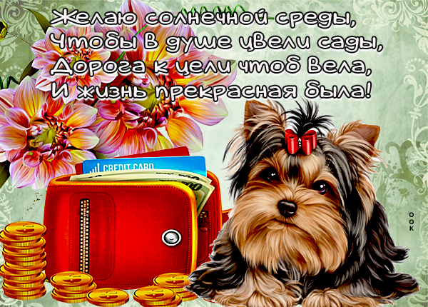Картинка красивая картинка со средой