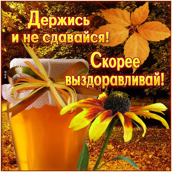 Picture красивая картинка выздоравливай с осенью