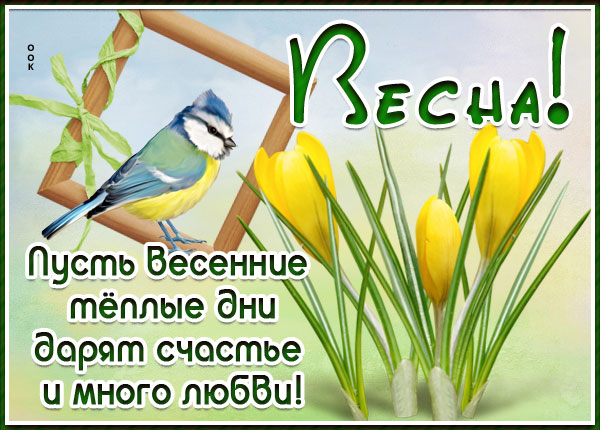 Открытка красивая открытка прекрасной весны