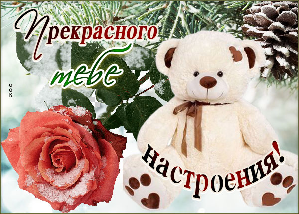 Картинка красивая зимняя открытка для настроения
