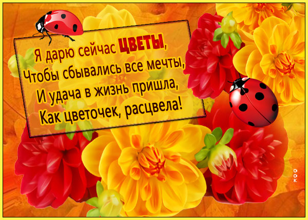 Открытка красочная картинка с цветами и стихом