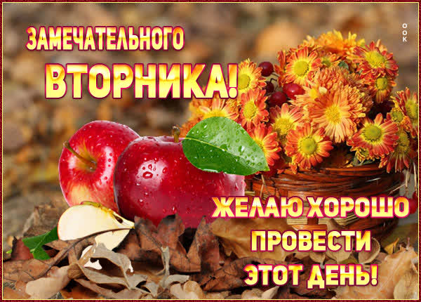 Picture креативная открытка с вторником