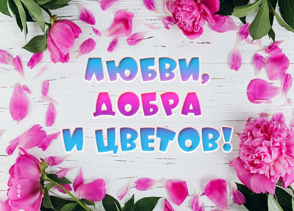 Picture лаконичная открытка любви, добра и цветов