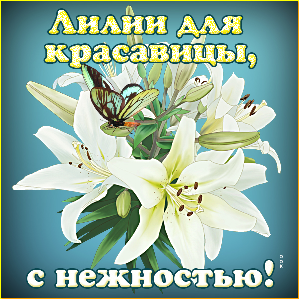 Открытка лилии для красавицы