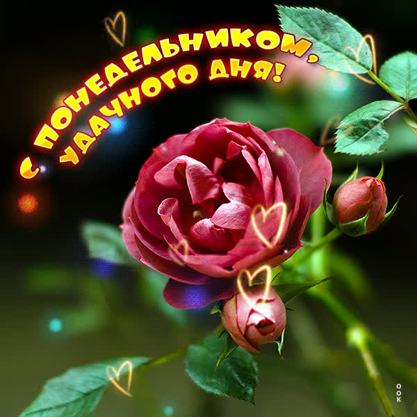 Picture магическая открытка удачного дня