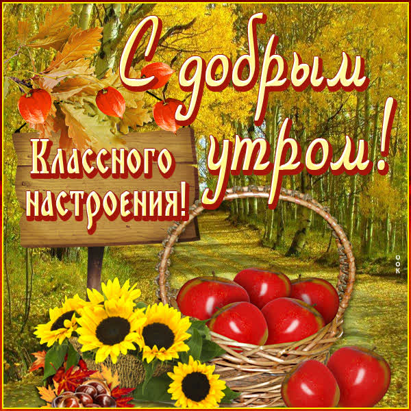 Picture милая картинка доброе утро на фоне леса