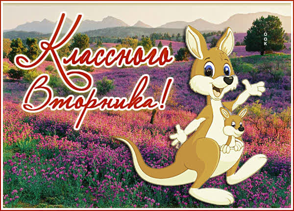 Picture милая картинка классного вторника