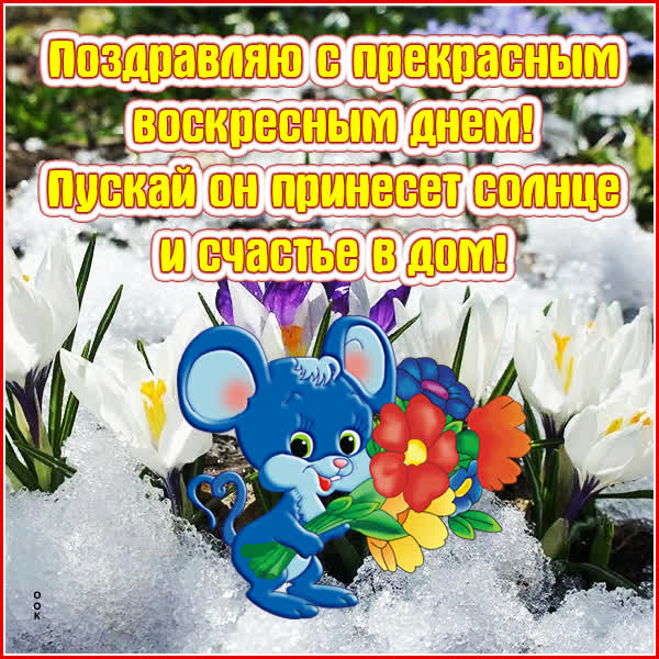 Postcard милая картинка поздравляю с прекрасным воскресным днем